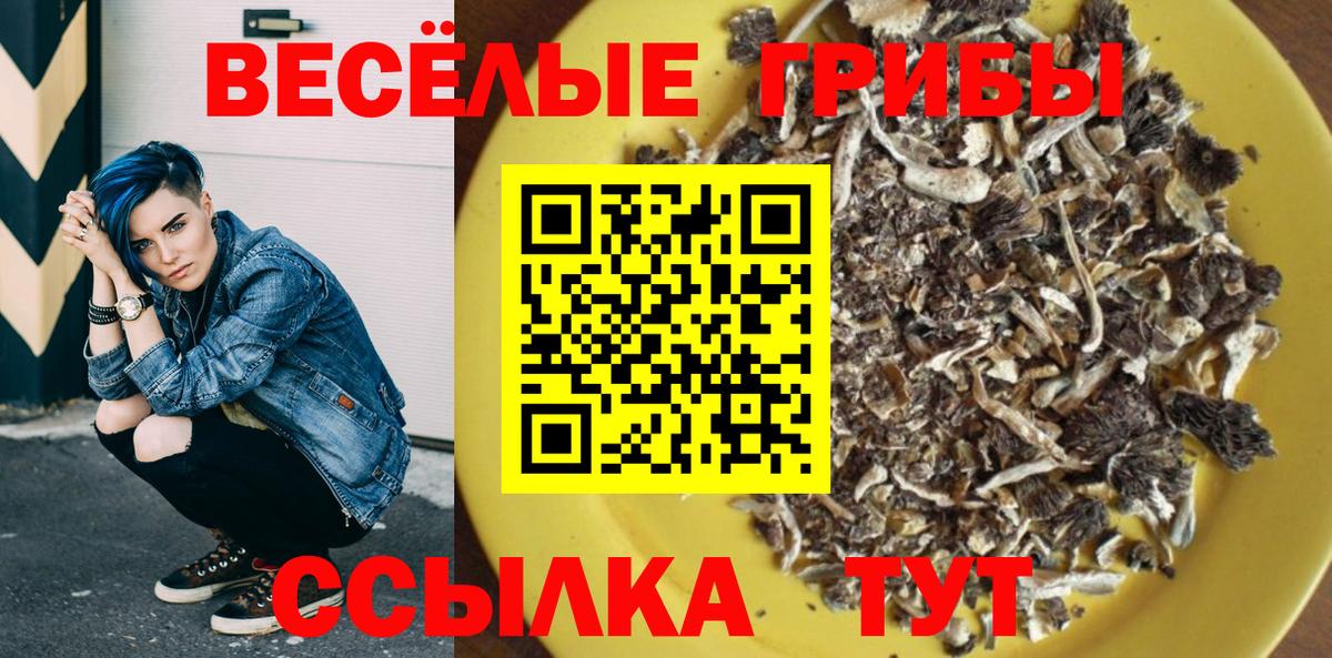 Псилоцибиновые грибы мицелий  Вход с VPN  Котлас 